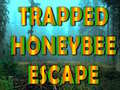 Hra Trapped Honeybee Escape