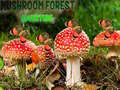 Hra Mushroom Forest Adventure