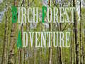 Hra Birch Forest Adventure