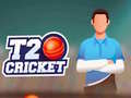 Hra T20 Cricket