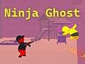 Hra Ninja Ghost