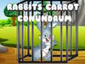 Hra Rabbits Carrot Conundrum