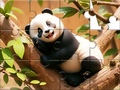 Hra Jigsaw Puzzle: Panda On Tree