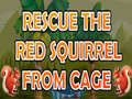 Hra Rescue The Red Squirrel From Cage