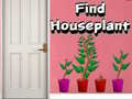 Hra Find Houseplant