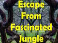 Hra Escape From Fascinated Jungle