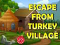 Hra Escape From Turkey Village