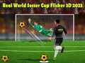 Hra Real World Soccer Cup Flicker 3D 2023