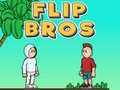 Hra Flip Bros