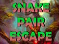 Hra Snake Pair Escape