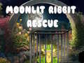 Hra Moonlit Ribbit Rescue
