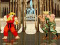 Hra Street Fighter 2 Flash