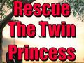 Hra Rescue The Twin Princess