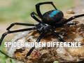 Hra Spider Hidden Difference