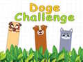 Hra Doge Challenge
