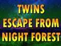Hra Twins Escape From Night Forest