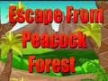 Hra Escape From Peacock Forest