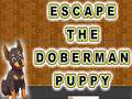 Hra Escape The Doberman Puppy