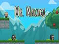 Hra Mr Macagi
