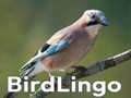 Hra BirdLingo