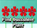 Hra Find Succulent Plant