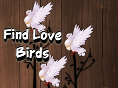 Hra Find Love Birds