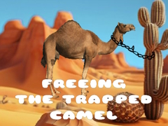 Hra Freeing the Trapped Camel