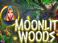 Hra Moonlit Woods