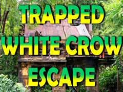 Hra Trapped White Crow Escape