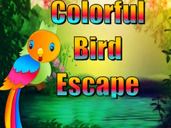 Hra Colorful Bird Escape