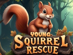 Hra Young Squirrel Rescue