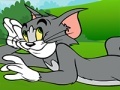 Hra Tom and Jerry ATV Adventure