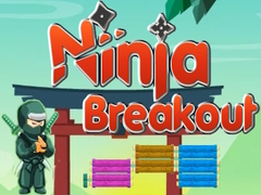 Hra Ninja Breakout