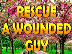 Hra Rescue A Wounded Guy