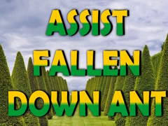 Hra  Assist Fallen Down Ant