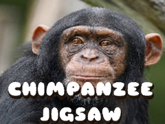 Hra Chimpanzee Jigsaw