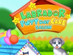 Hra Labrador Puppy Daycare Salon