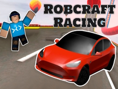 Hra Robcraft Racing