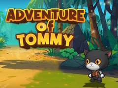 Hra Advanture Of Tommy