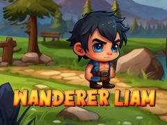 Hra Wanderer Liam