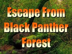 Hra Escape from Black Panther Forest