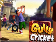 Hra Gully Cricket