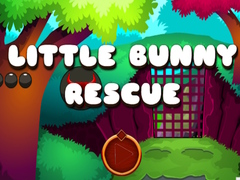 Hra Little Bunny Rescue