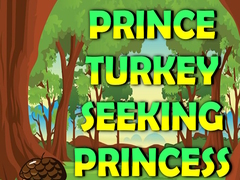 Hra Prince Turkey Seeking Princess