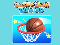 Hra Basketball Life 3D