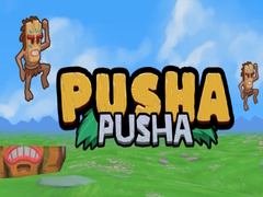 Hra Pusha Pusha