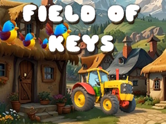 Hra Field of Keys