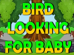 Hra Bird Looking For Baby