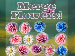 Hra Merge Flowers!