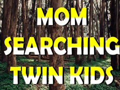 Hra Mom Searching Twin Kids